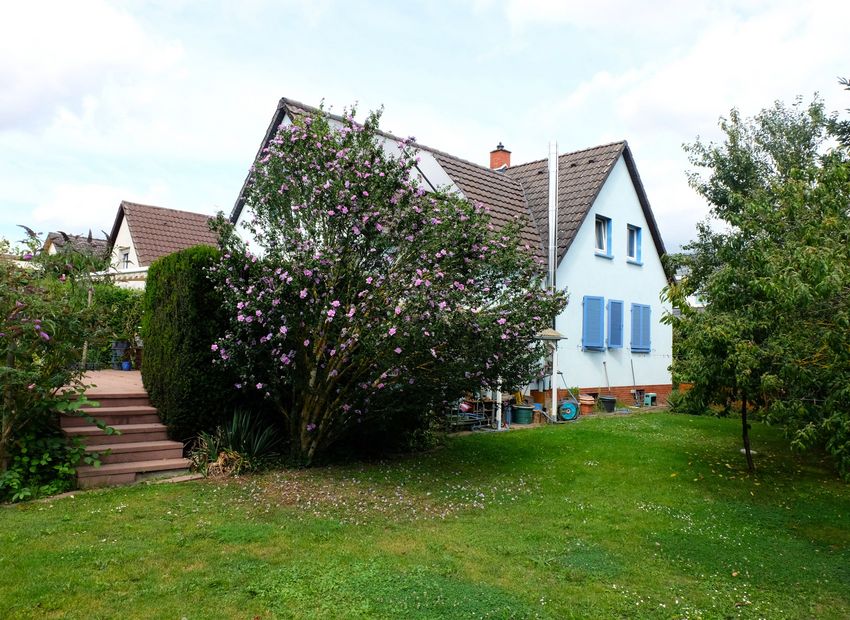 Frankfurt Heddernheim! Schönes freistehendes Haus mit Kamin auf 796m² Grundstück.