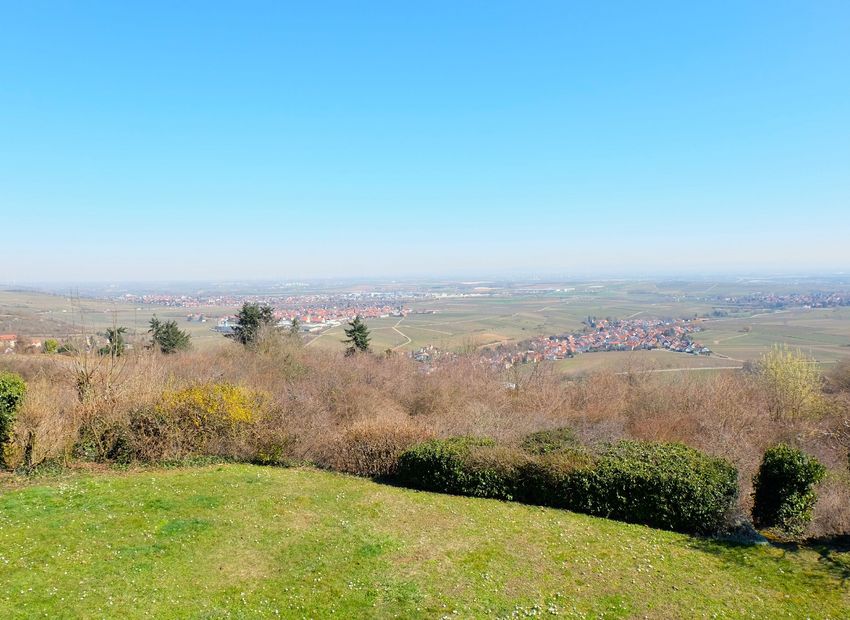 Battenberg! Freistehendes Einfamilienhaus mit 180-Grad-Panoramablick über die Rheinebene.