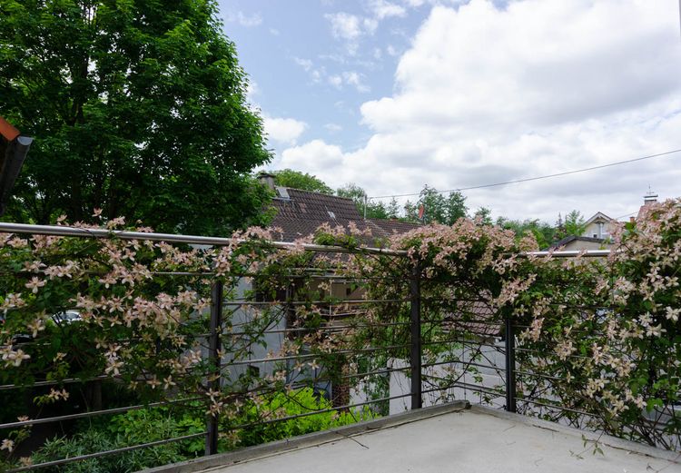 Kloppenheim: Außergewöhnliche und helle Maisonettewohnung!