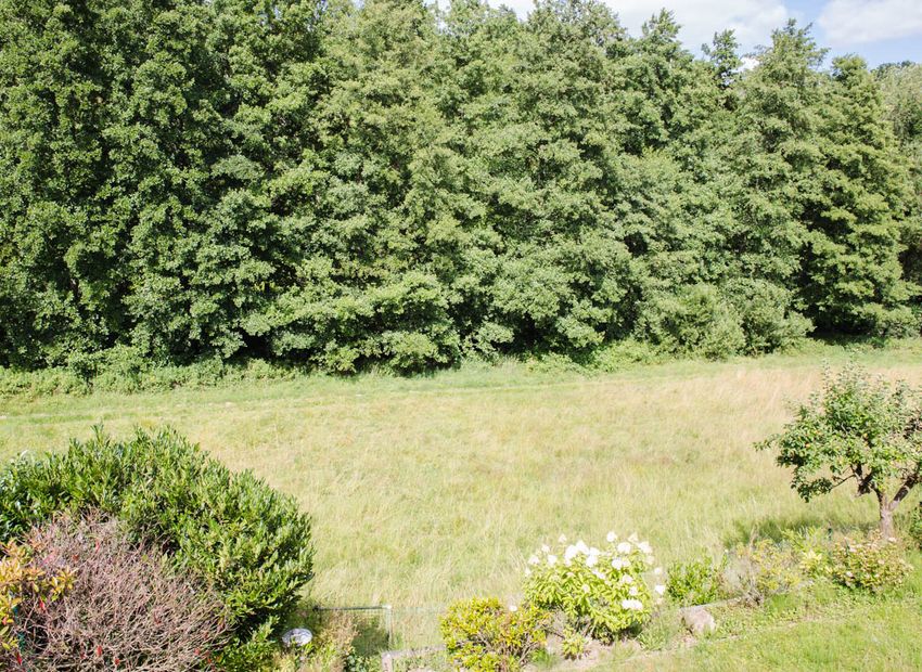 Bad Soden - Altenhain: Charmante Doppelhaushälfte mit Blick ins Grüne – Wohnen am Altenhainer Tal!