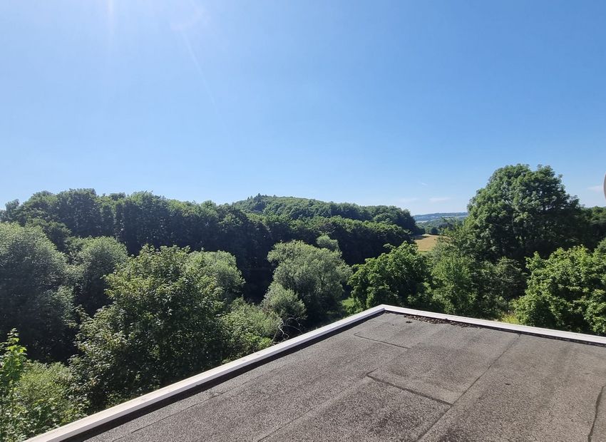 Gemeinde Dreisbach: Freistehendes Einfamilienhaus mit drei Garagen und großem Areal