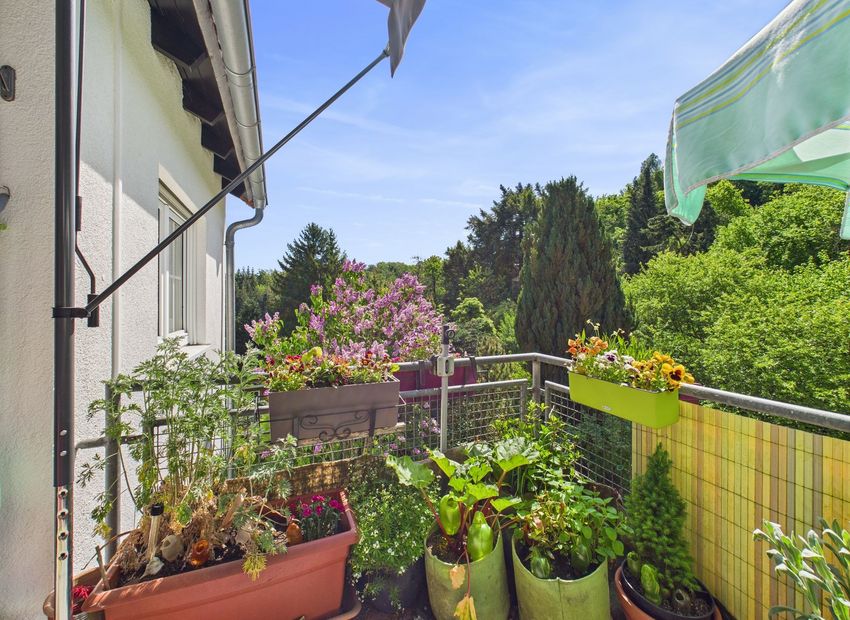 Schmitten-Brombach: Attraktive Wohnung im Grünen!