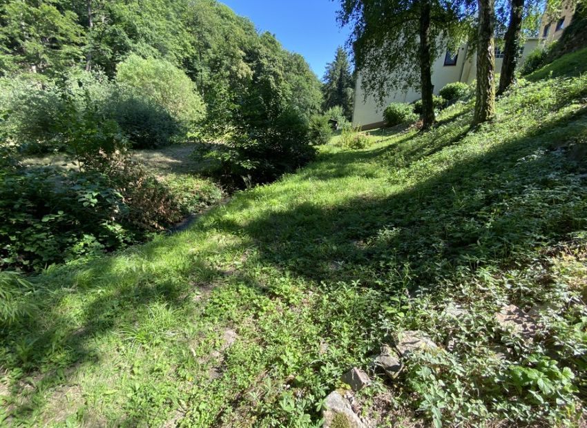 Schlangenbad: Gepflegtes Einfamilienhaus in idyllischer Lage – mit viel Platz und Potenzial!