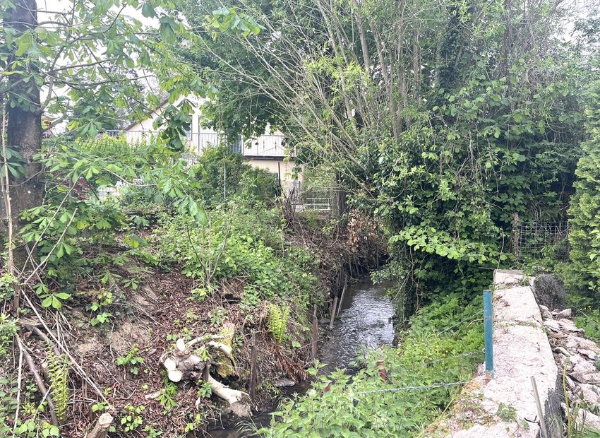 Burgschwalbach-Zollhaus: Hier gibt es noch eine Baulücke!
