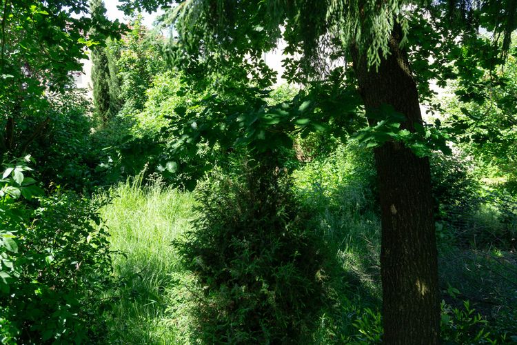 Breckenheim: Neubau oder Sanierung in ruhiger Lage auch für 2 Familien!