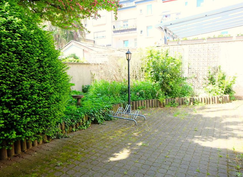 Frankfurt Höchst! Mehrfamilienhaus mit 4 Wohnungen und einer Praxis.