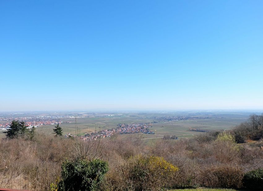 Battenberg! Freistehendes Einfamilienhaus mit 180-Grad-Panoramablick über die Rheinebene.