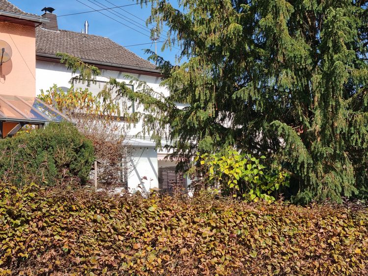 Montabaur/Bladernheim: Einfamilienhaus mit drei Garagen und Garten