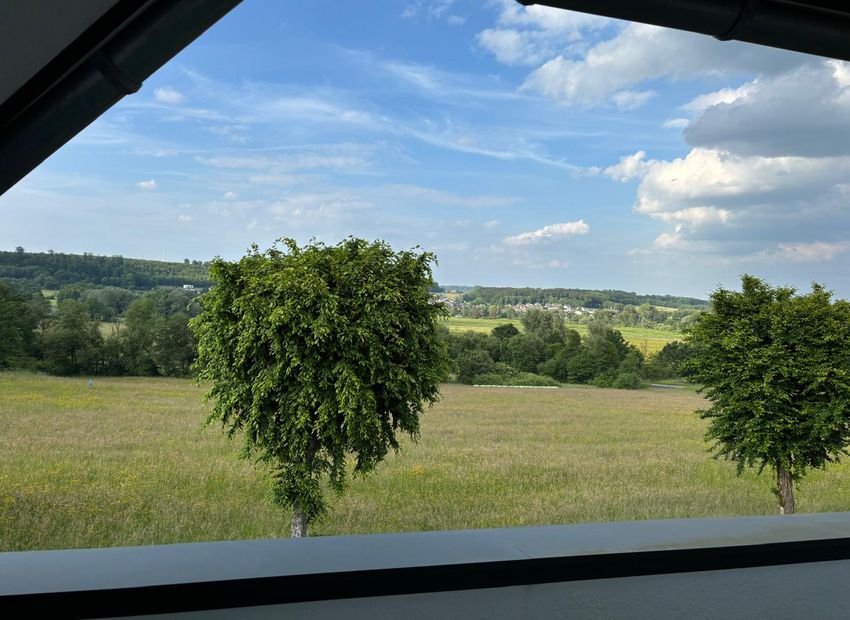 Stahlhofen am Wiesensee: Immobilie der Extraklasse mit Fernblick und herrlichem Grundstück