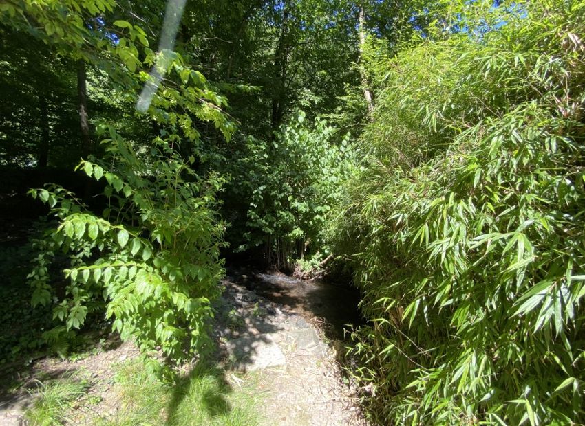 Schlangenbad: Gepflegtes Einfamilienhaus in idyllischer Lage – mit viel Platz und Potenzial!