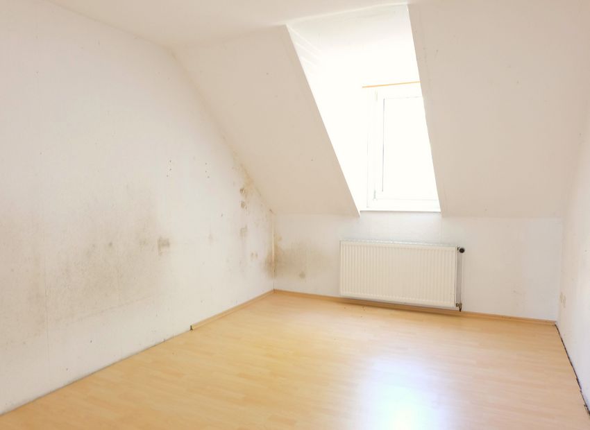 Frankfurt Höchst! Mehrfamilienhaus mit 4 Wohnungen und einer Praxis.
