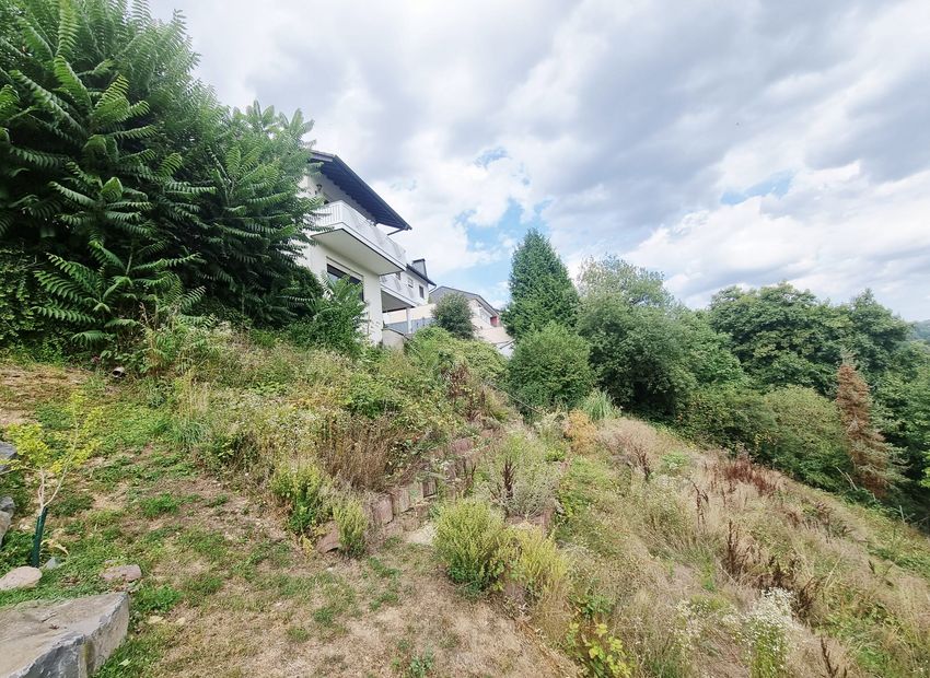 Selters (Ts): Besondere Immobilie ( Wohnraumwunder)  mit Fernblick und schönem Terrassengrundstück 