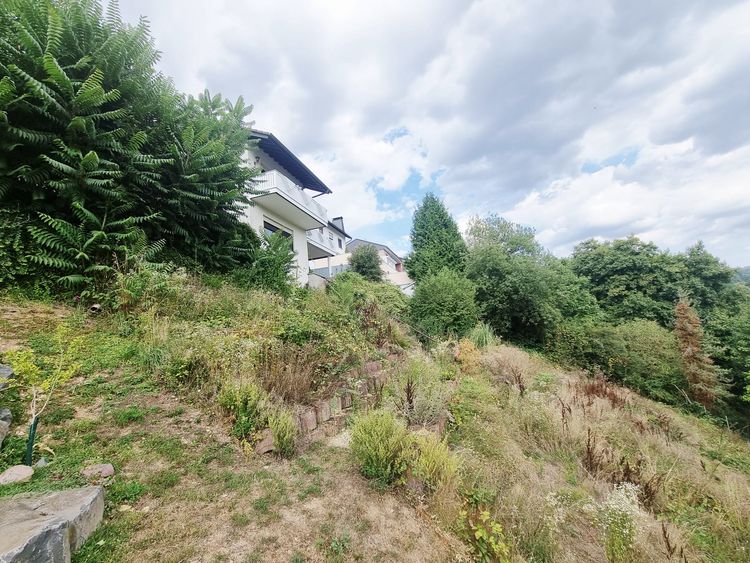 Selters (Ts): Besondere Immobilie ( Wohnraumwunder)  mit Fernblick und schönem Terrassengrundstück 