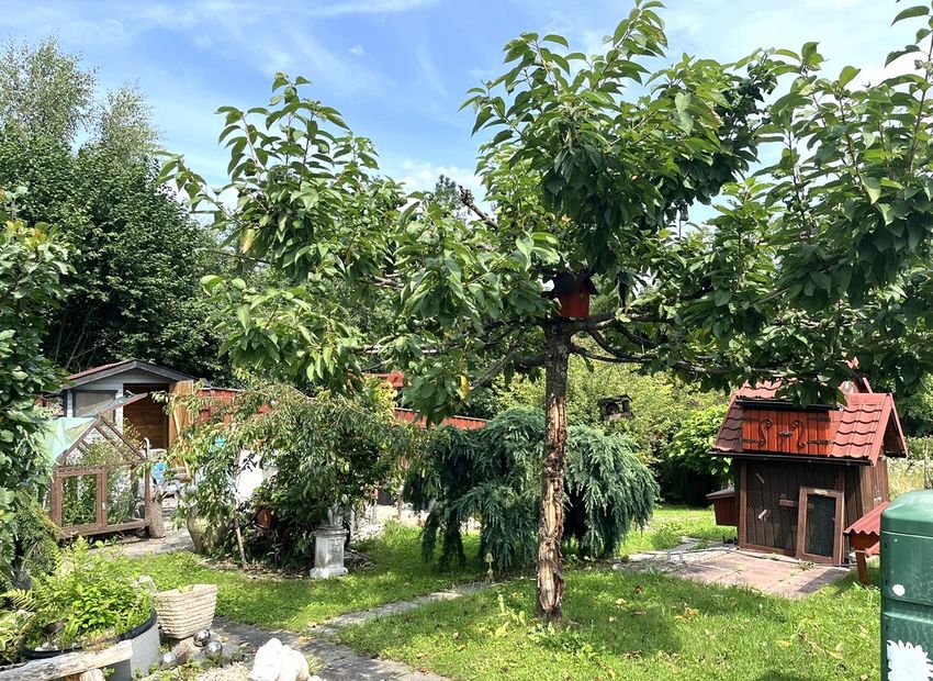 Hambach: Charmantes Einfamilienhaus mit Wintergarten